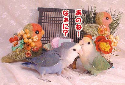和風すみつく