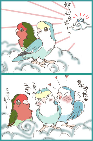 虹の国