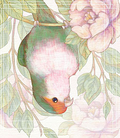 つくしイラスト
