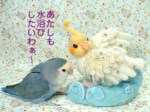 水浴び希望すみれ