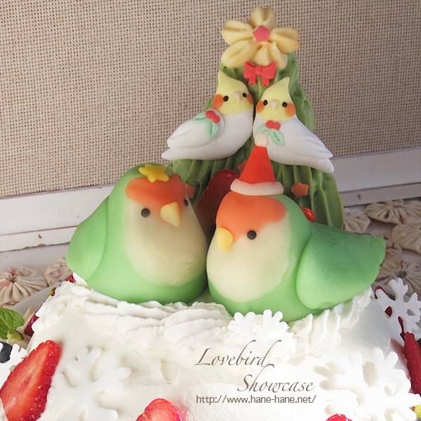 今年のインコクリスマスケーキ ふ た り ごと