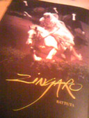 zingaro