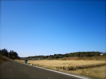 20140128_sanpo1