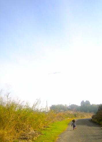 201501_syogatsu