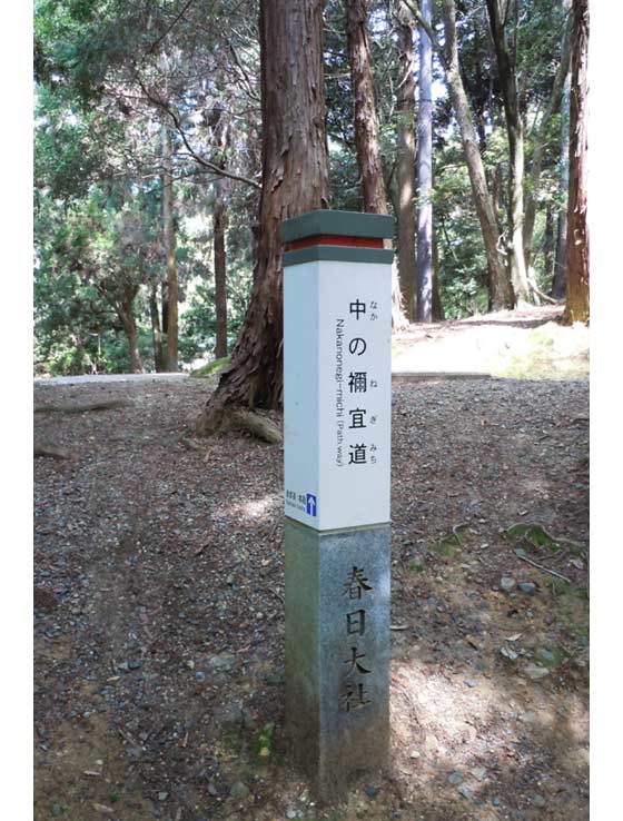 道