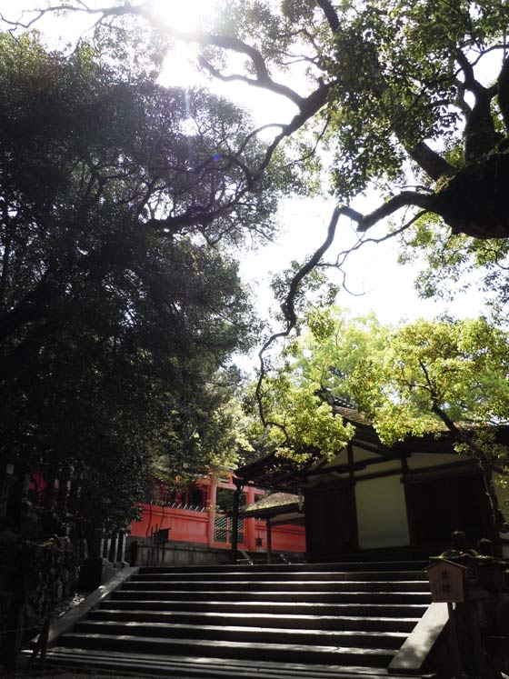 第1番納札社:若宮(わかみや)神社