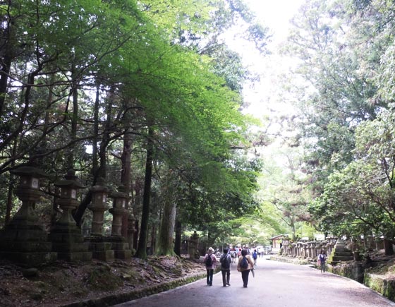 春日大社参道