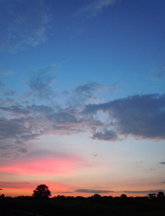 2012-07-30-e.jpg