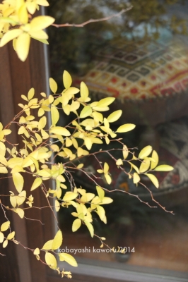 中崎町界隈