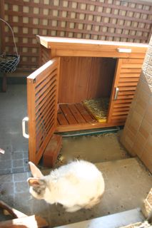 ウサギ小屋