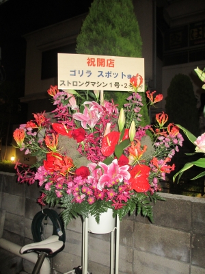 IMG_0779.jpg