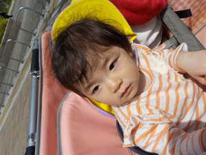 DSCN7535.jpg