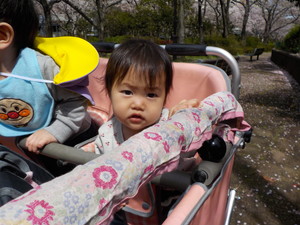 DSCN7597.jpg