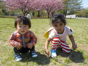 DSCN7650.jpg