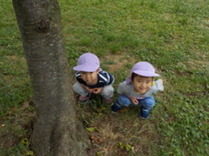 DSCN8411.jpg