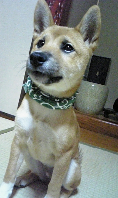 070925_210106.jpg