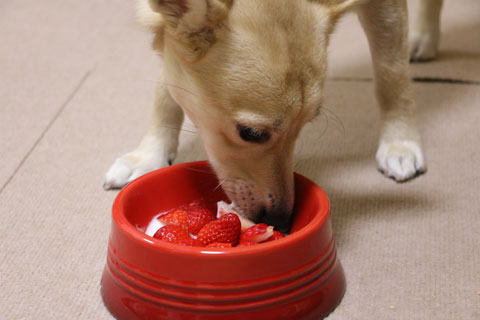 2015_01_06_24460_1.jpg
