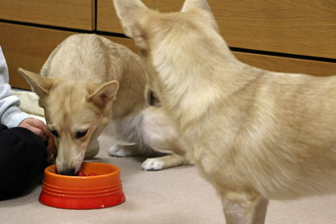 2015_01_06_24454_1.jpg