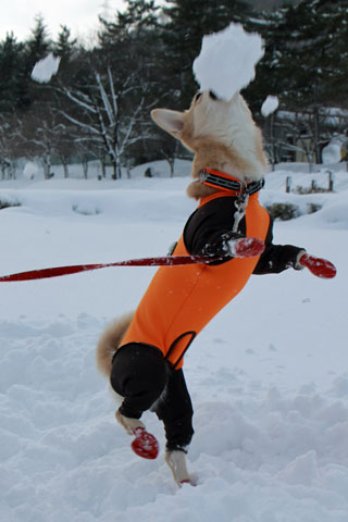 2015_01_12_24656_1.jpg