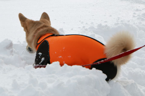 2015_01_12_24671_1.jpg
