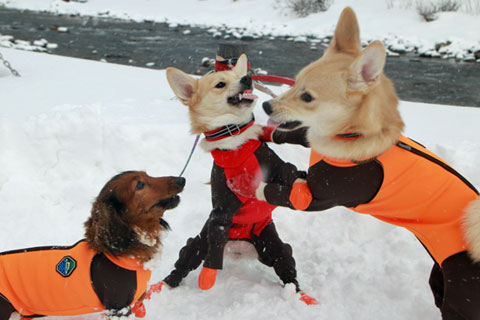 2015_01_12_24693_1.jpg