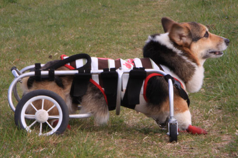 2012_03_25_13139_1.jpg