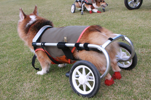 2012_10_27_16325_1.jpg