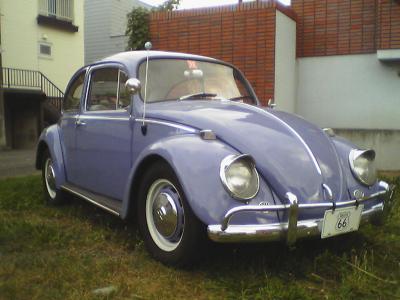Beetle sep