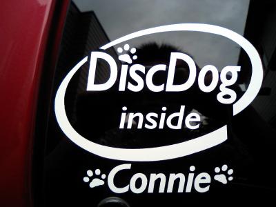 disc dog inside connie