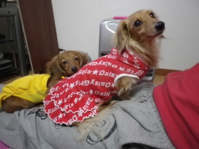 姫と苺