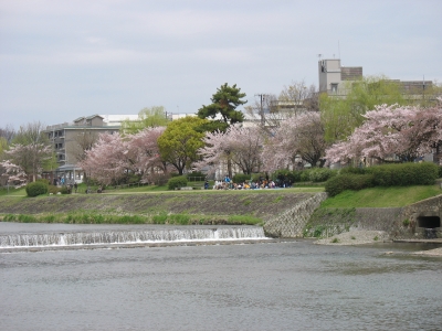 IMG_0062.JPG