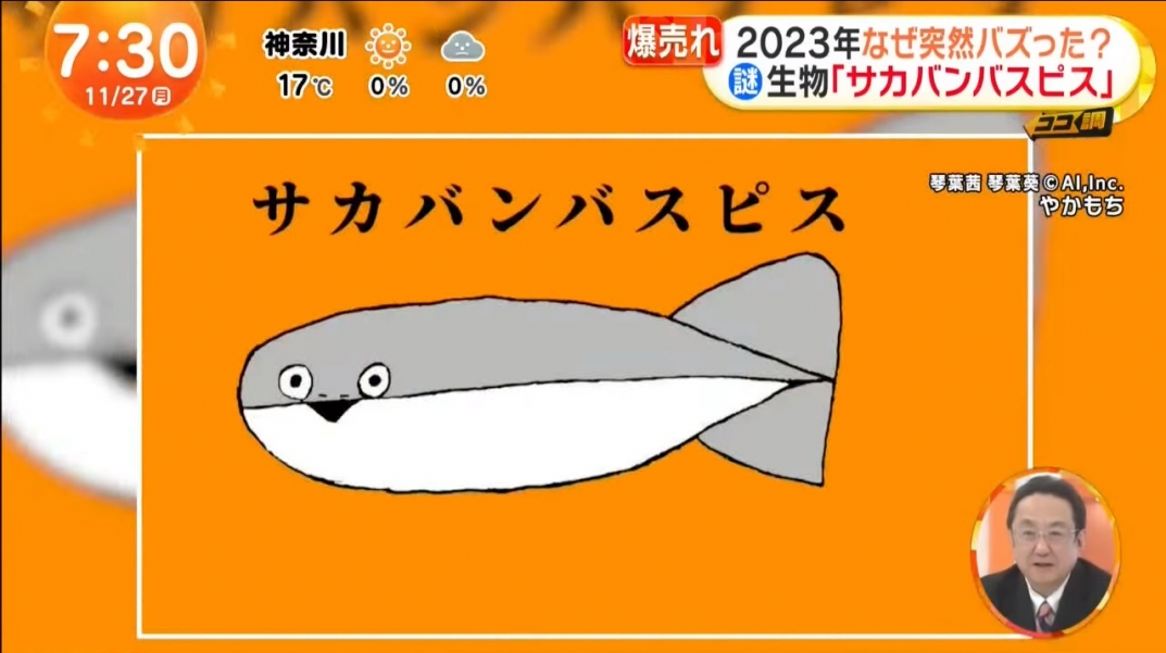 めざましテレビ』でボカロ曲『サカバンバスピス』 | ROUTE24