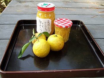 季節の果実を使って…