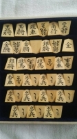 tsukamoto_koma01