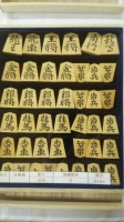 tukamoto03