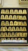 tukamoto04