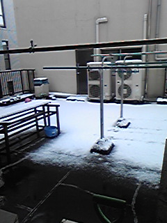 090113_114917.jpg