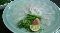 河豚