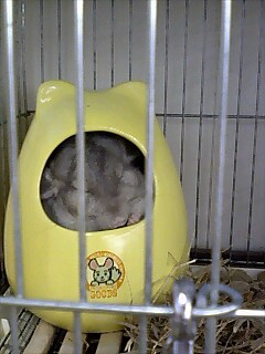 20070117_328043.jpg