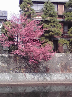 松川沿い