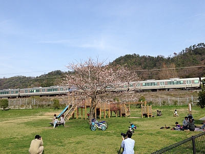 iphonen5 019.jpg