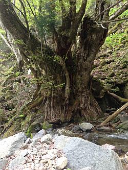 IMG_1779.jpg