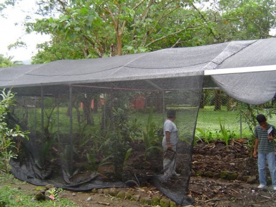 vivero2