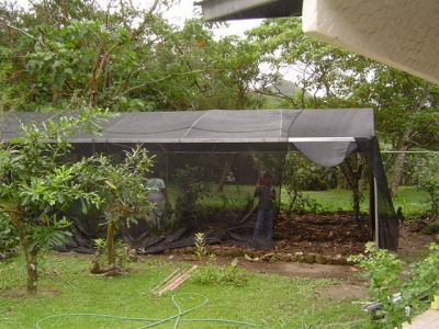 vivero3