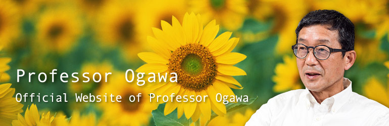 ogawa_top_himawari3.jpg