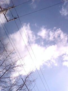 090329_1527~0001.jpg