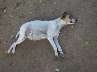 アユタヤ