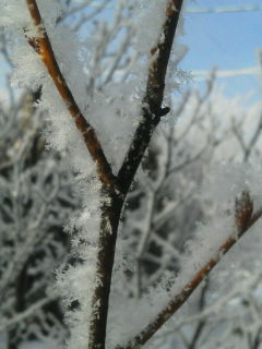 20120108094222.jpg
