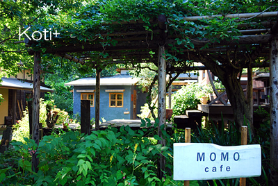 MOMO cafe 1*
