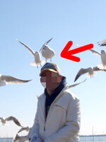 大人気?
